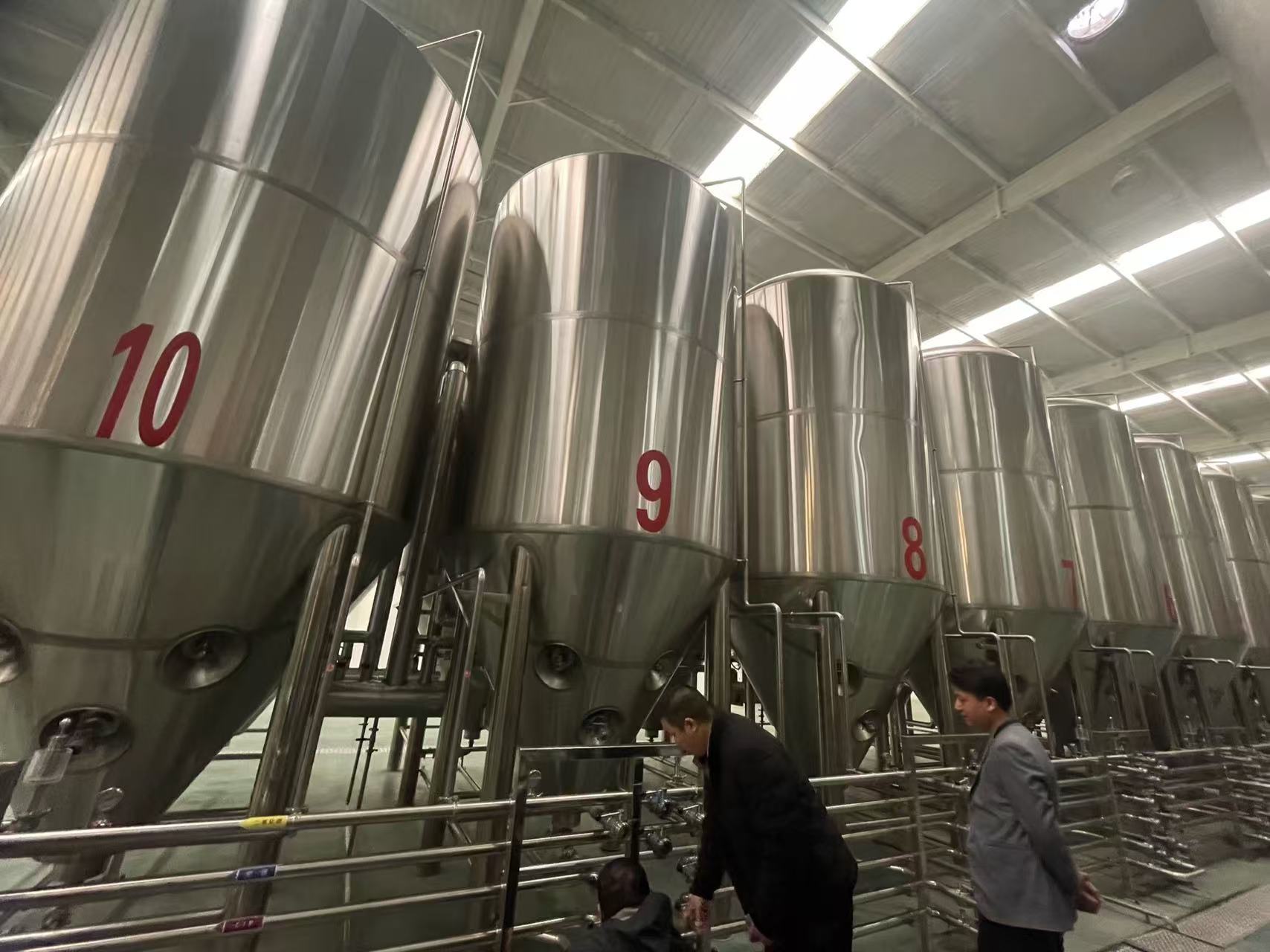 临高精酿啤酒设备厂—平面布置、设备设计、制造、调试、培训等一条龙服务
